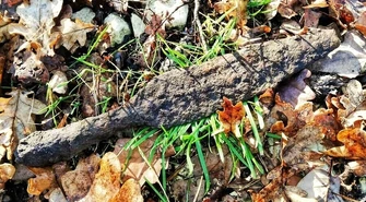 Średniowieczne znalezisko w Lubieniu. Czy będą kolejne odkrycia?