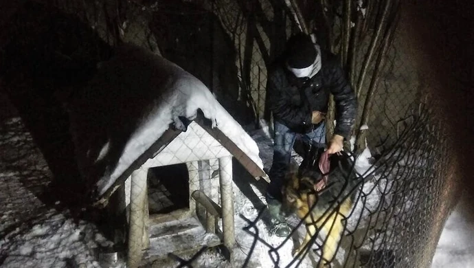 Odpowie za znęcanie się nad psem