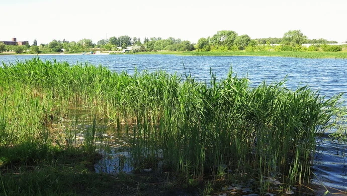 Działki przy Bugaju czekają na inwestorów