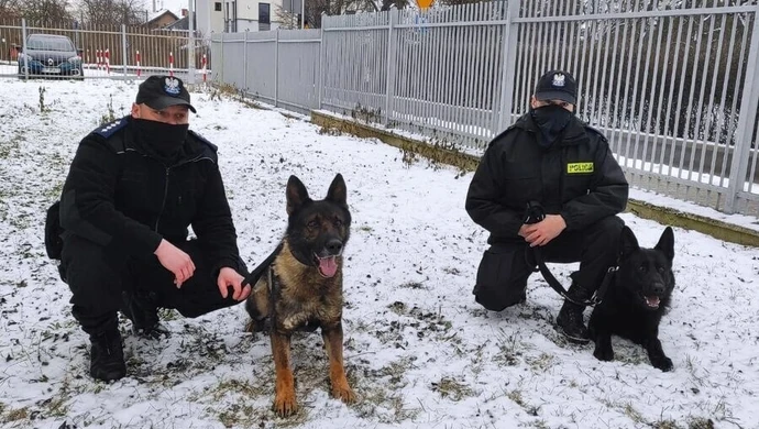 Czworonożni funkcjonariusze w służbie piotrkowskiej komendy