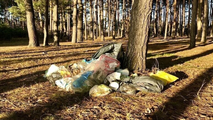 Będzie więcej fotopułapek w lasach naszego regionu