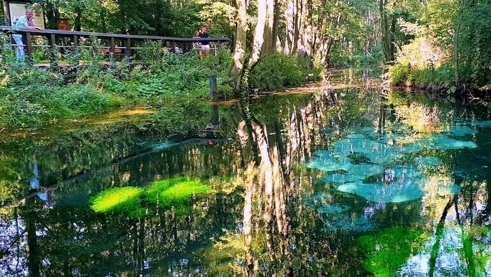 Odkrywamy znane i nieznane &#8211; Niebieskie Źródła