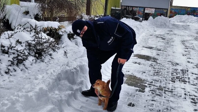 Policjanci odwiedzili piotrkowskie schronisko