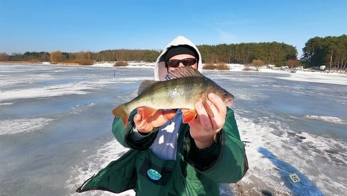Wędkarze rywalizowali o tytuł w Cieszanowicach
