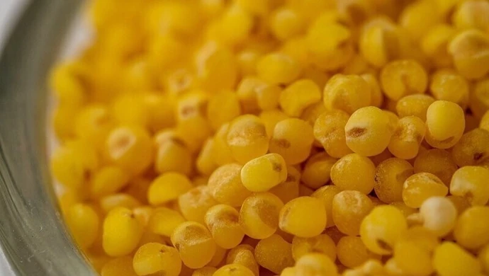 Zalety kaszy jaglanej w zdrowym żywieniu