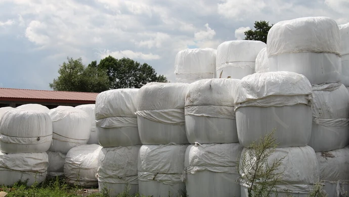 Zebrano prawie 27 ton folii