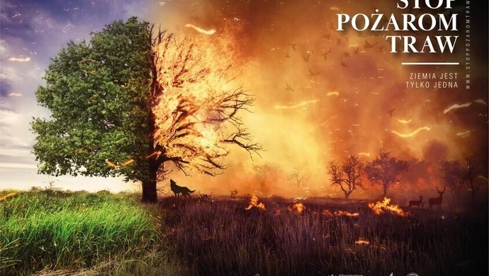 Tysiące zwierząt co roku ginie w płomieniach