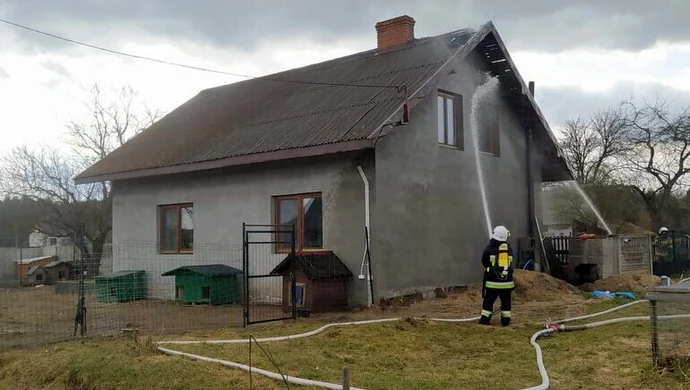 Pożar w azylu dla zwierząt