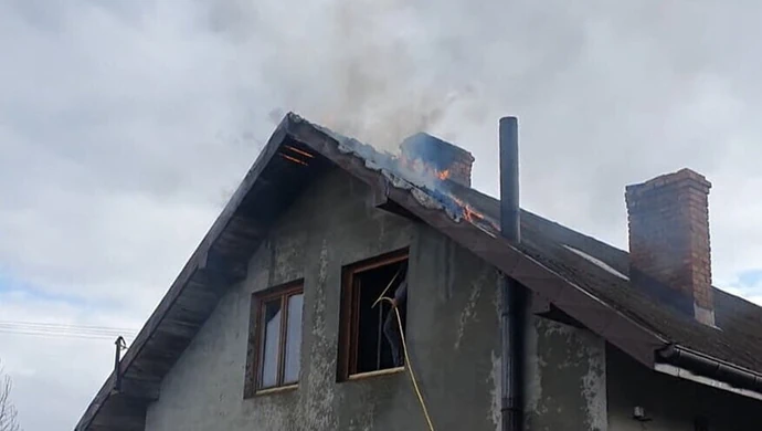 Dramat Fundacji Masz Nosa. Bez pomocy nie będą mogli dalej ratować zwierząt.