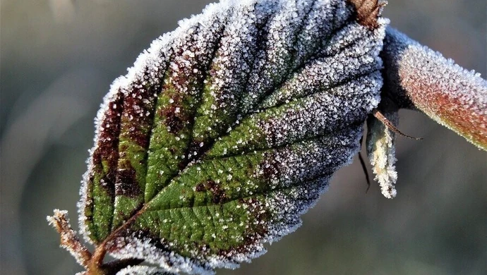 Jaka pogoda na święta?