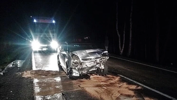 Dwa zniszczone samochody i jedna osoba ranna po zderzeniu z dzikiem