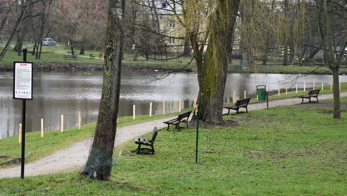 Rozpoczęły się prace na terenie parku Belzackiego