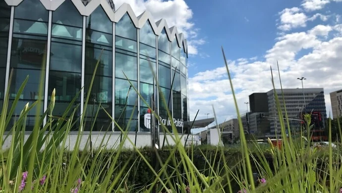 Bycie eko się opłaca – największy bank w Polsce wspiera transformację energetyczną kraju