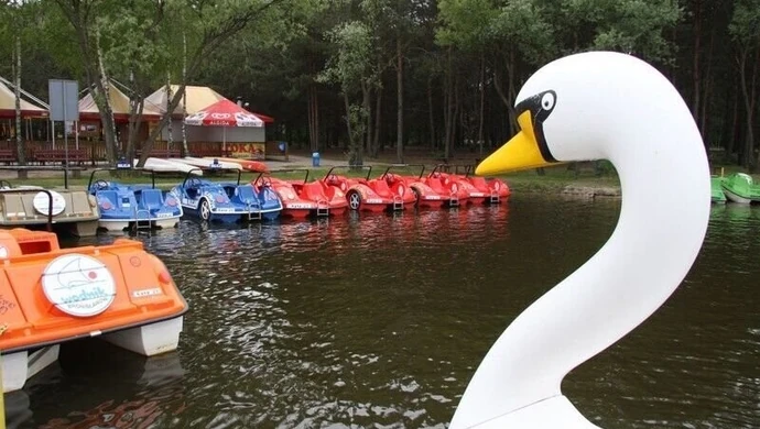 Kronika Trybunalska: Antyszczepionkowcy nie tracą nadziei