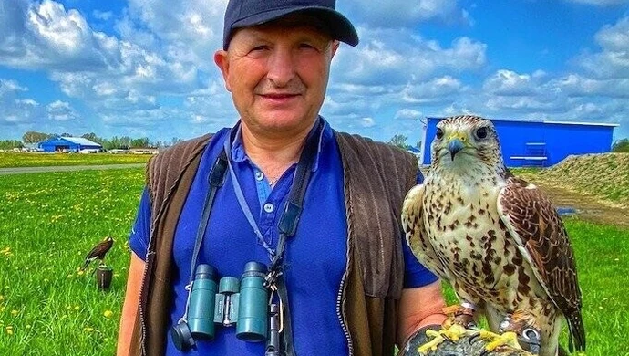 Sokoły na lotnisku w Piotrkowie (zdjęcia)