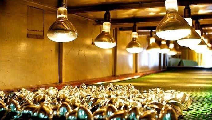 Idealne miejsce na jednodniową wycieczkę szkolną