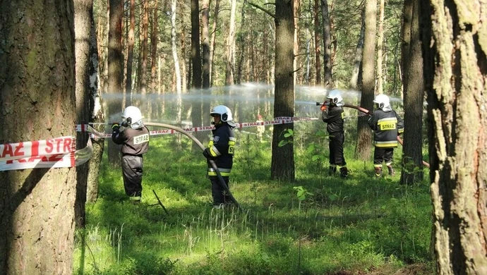 Ćwiczyli, jak gasić las