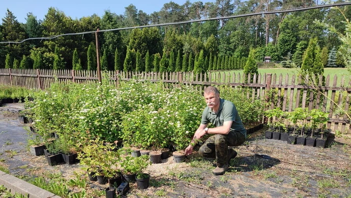 100 tysięcy drzew na 100-lecie województwa