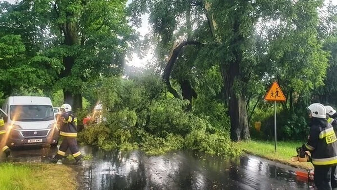Połamane drzewa po nawałnicach