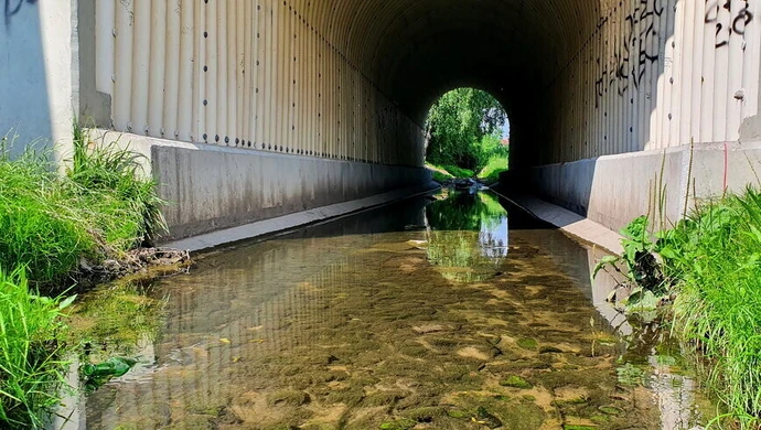 Czy piotrkowskie rzeki mogą zalać nasze miasto?