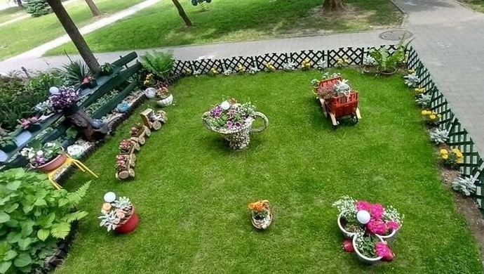 Niecodzienne widoki w centrum miast