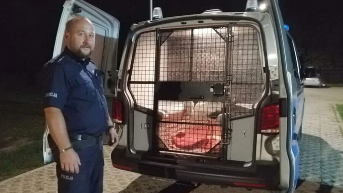 Policjanci uratowali rannego bociana