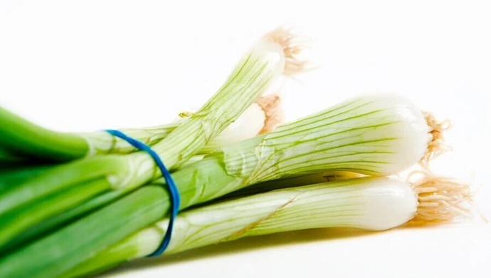 Cebula dymka – zdrowa, smaczna i łatwa w uprawie