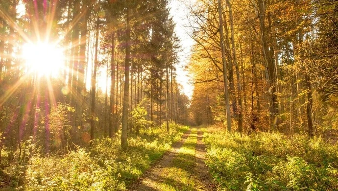 Pogoda na weekend. Czy coś się zmieni?