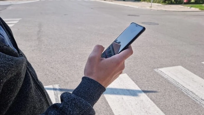 Wchodzą na pasy jak święte krowy?