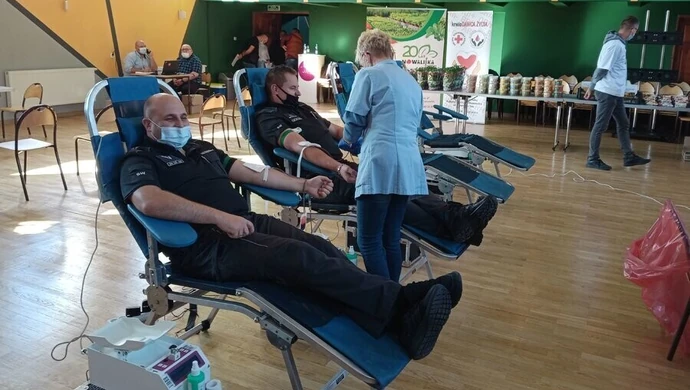 Ponad 25 litrów krwi dla Olka, Kacpra i Łukasza