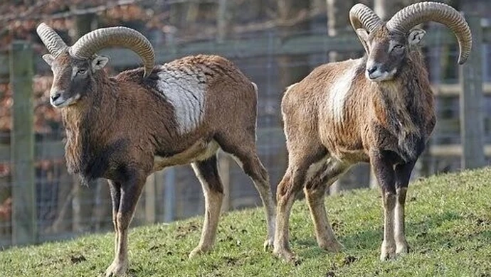 Niespodziewany prezent od Andrzeja Dudy