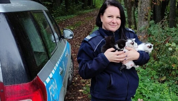 Uratowane od pewnej śmierci