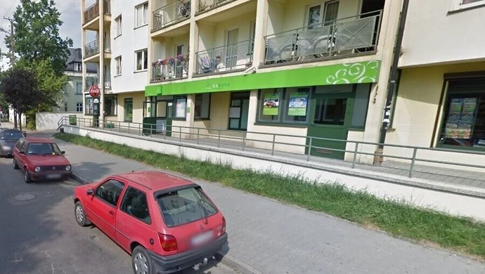 Martwe szczenięta w śmieciach przy Próchnika