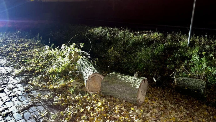 Brak prądu i połamane drzewa. Strażacy usuwali skutki silnego wiatru