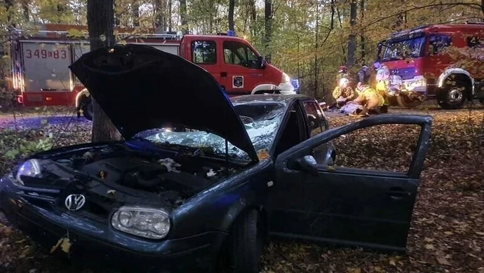 Pijany wjechał w drzewo