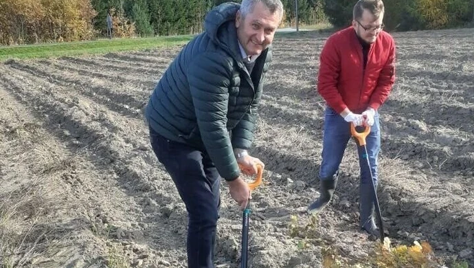 Nie będzie nas, pozostanie las