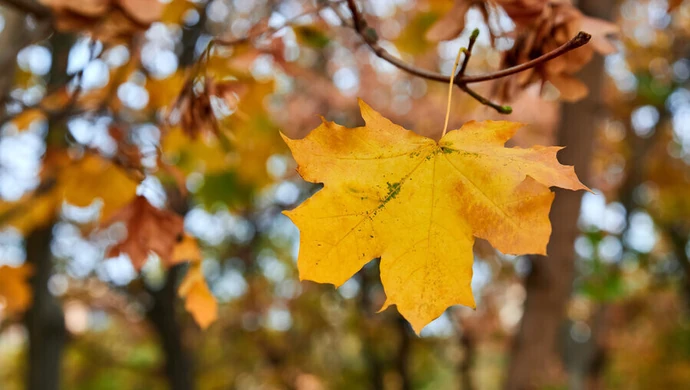 Jaka pogoda w weekend?