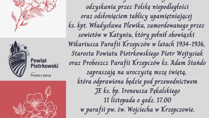 Powiatowe obchody Święta Niepodległości
