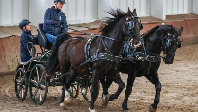 W Bogusławicach rywalizowali podczas zawodów w powożeniu