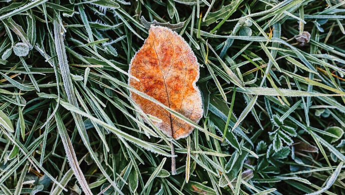 Nadchodzi zimowy weekend?