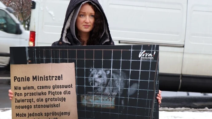 Politycy, gdzie obiecany zakaz hodowli zwierząt na futro?
