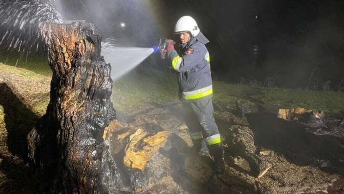 Spłonęła 100-letnia sosna