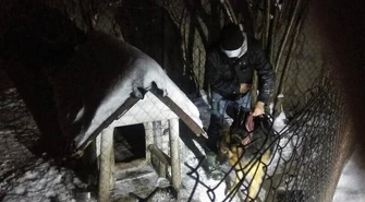 Odpowie za znęcanie się nad psem