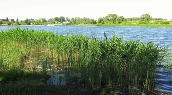 Działki przy Bugaju czekają na inwestorów