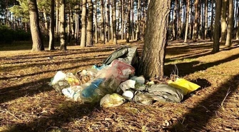 Będzie więcej fotopułapek w lasach naszego regionu