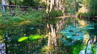 Odkrywamy znane i nieznane &#8211; Niebieskie Źródła