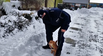 Policjanci odwiedzili piotrkowskie schronisko
