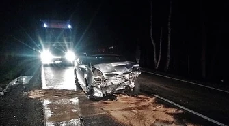 Dwa zniszczone samochody i jedna osoba ranna po zderzeniu z dzikiem