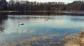 Stawy w Wygodzie znów pełne wody