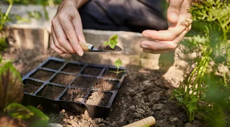 Wiosna - czas na prace w ogrodzie i w polu